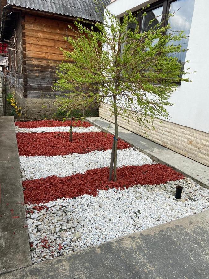 Casa Bianca Oncesti 게스트하우스 외부 사진